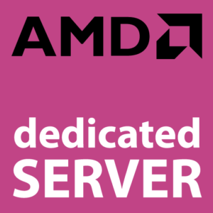amd dedicated server